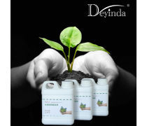 天然植物提取热卖促销 品质为本，实惠超值
