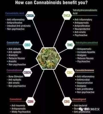 大麻二酚（CBD）在临床上的疗效——这种源于工业植物提取的成分到底有多神奇？