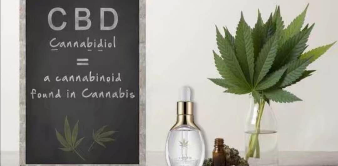 政策松绑叠加市场需求，工业大麻概念股再度掀起热潮 又一大国将其移出管制清单